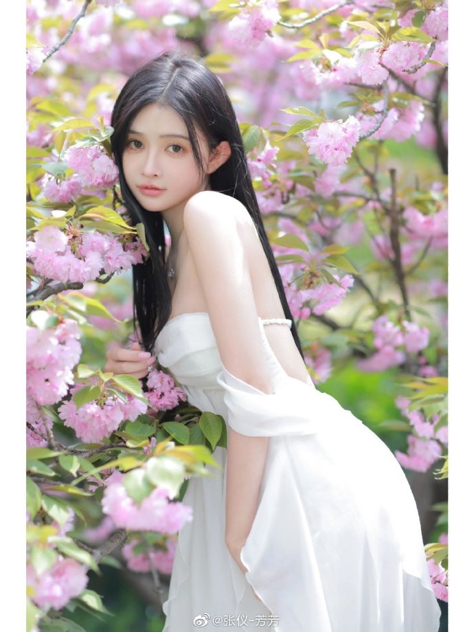 阿波罗13号 封面